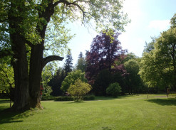 Zastavení č. 10 Zámecký park, informační bod